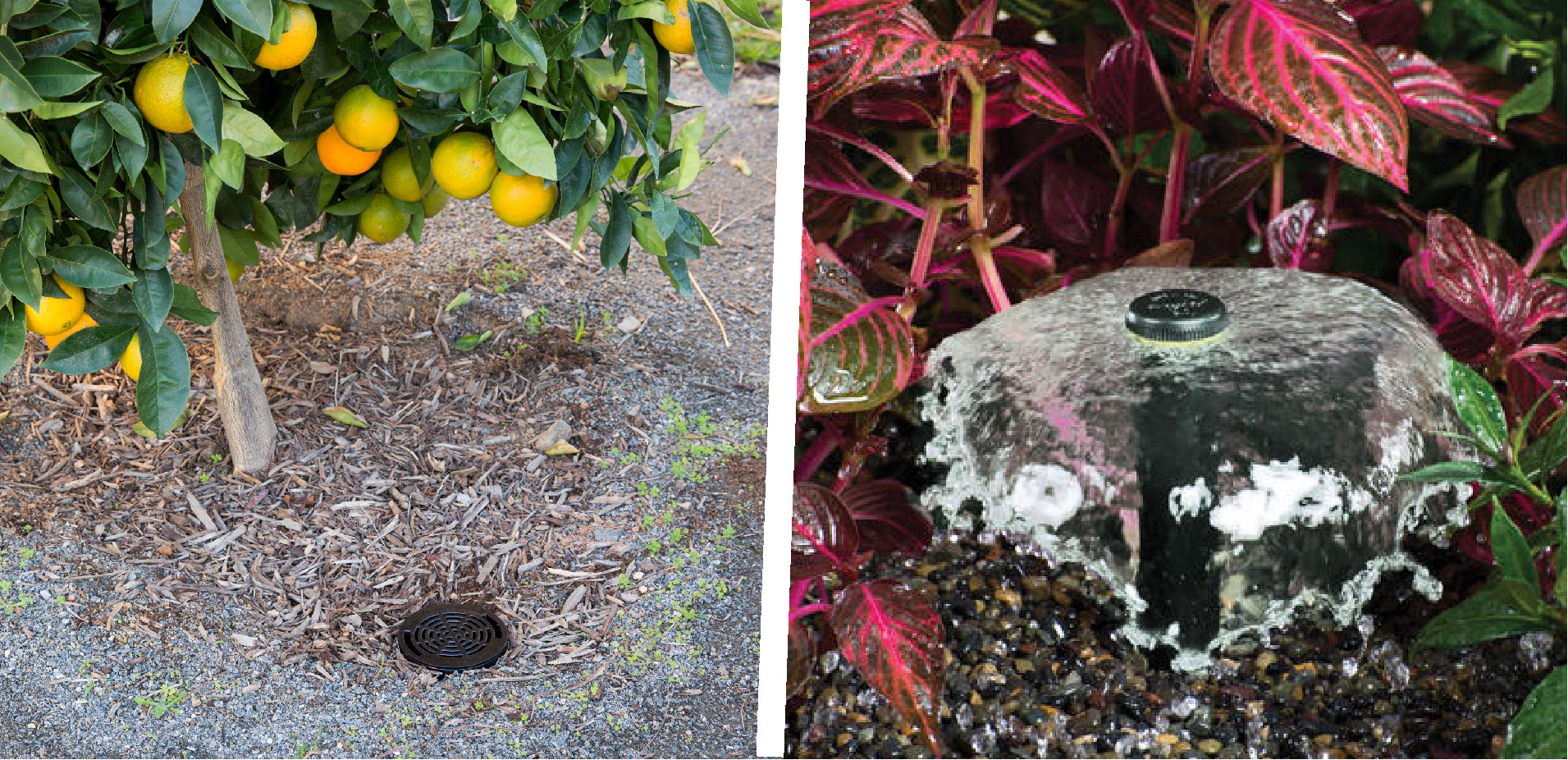 Baum- & Strauchbewässerung